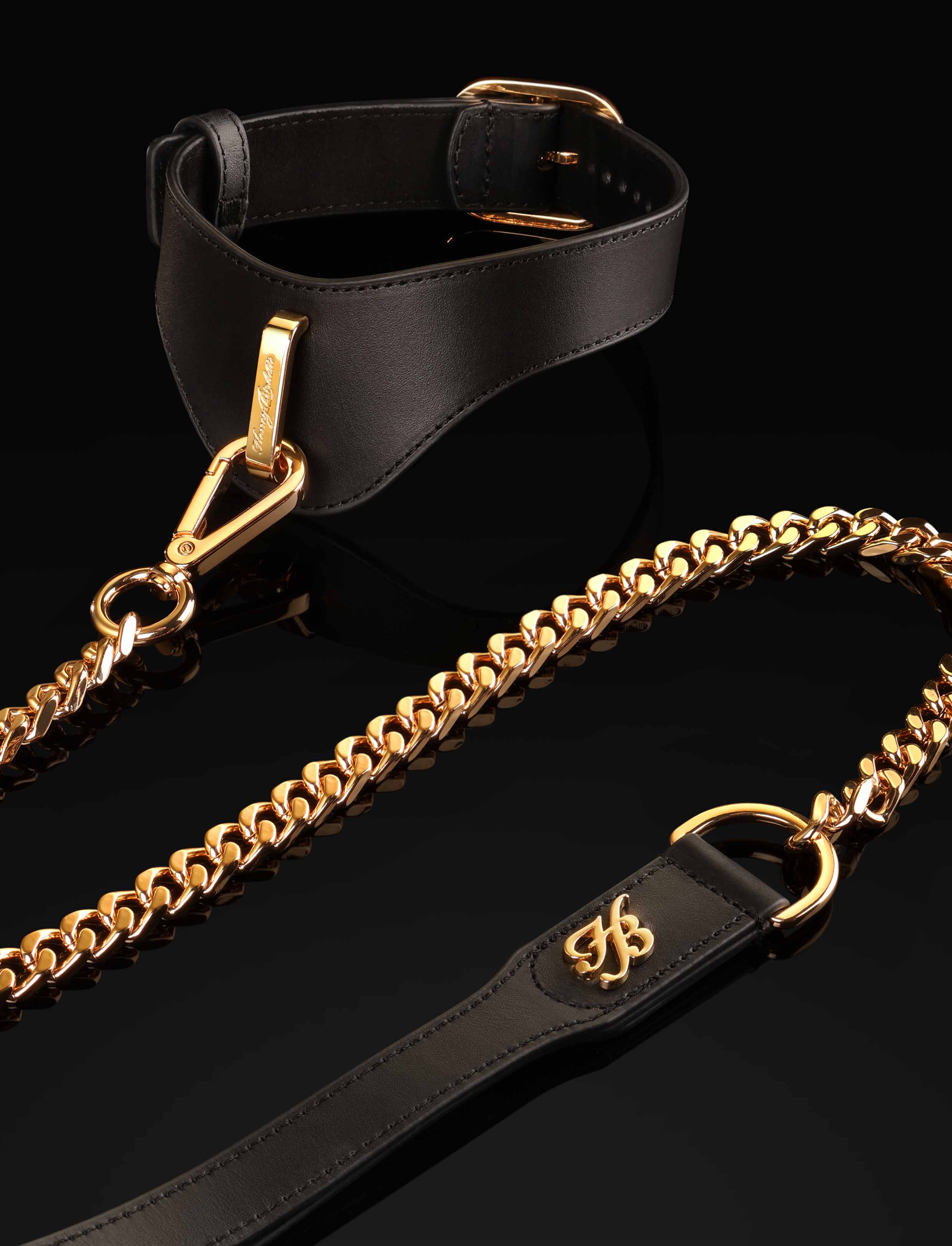 Signature Series Leather Collar with Detachable Chain Leash